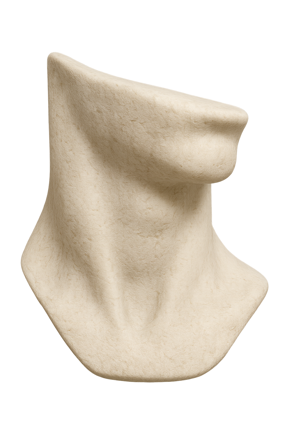 Hals - Anatomische Skulptur